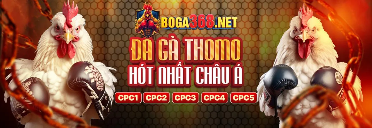 Đá gà trực tuyến f1686s